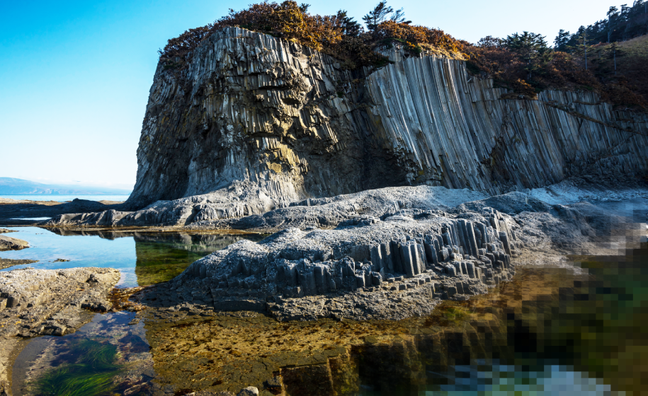 Центр ЕСИМО Минприроды России