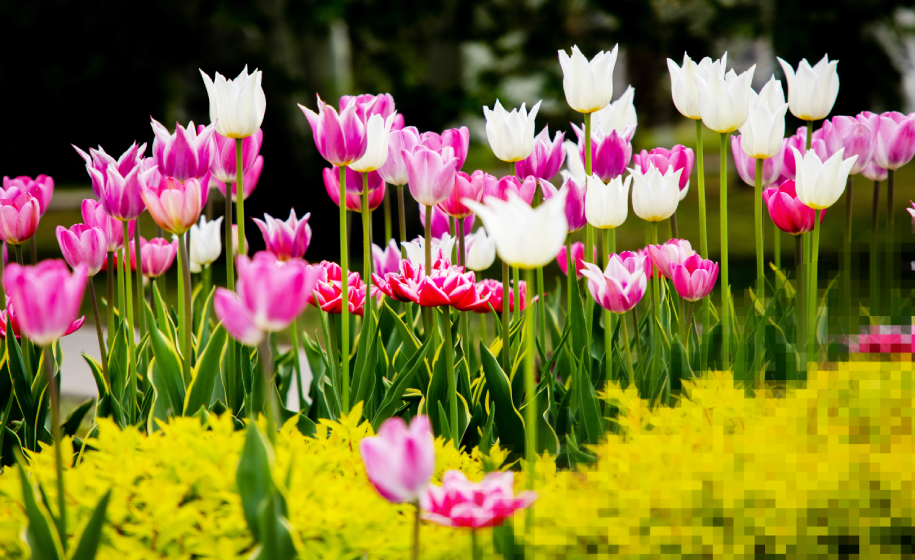 ФГИС «Природные территории»