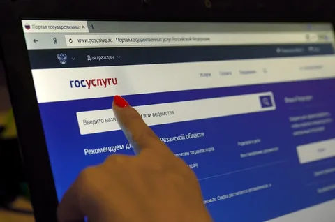 Ростех и Россотрудничество открыли доступ к цифровым госуслугам россиянам за рубежом.