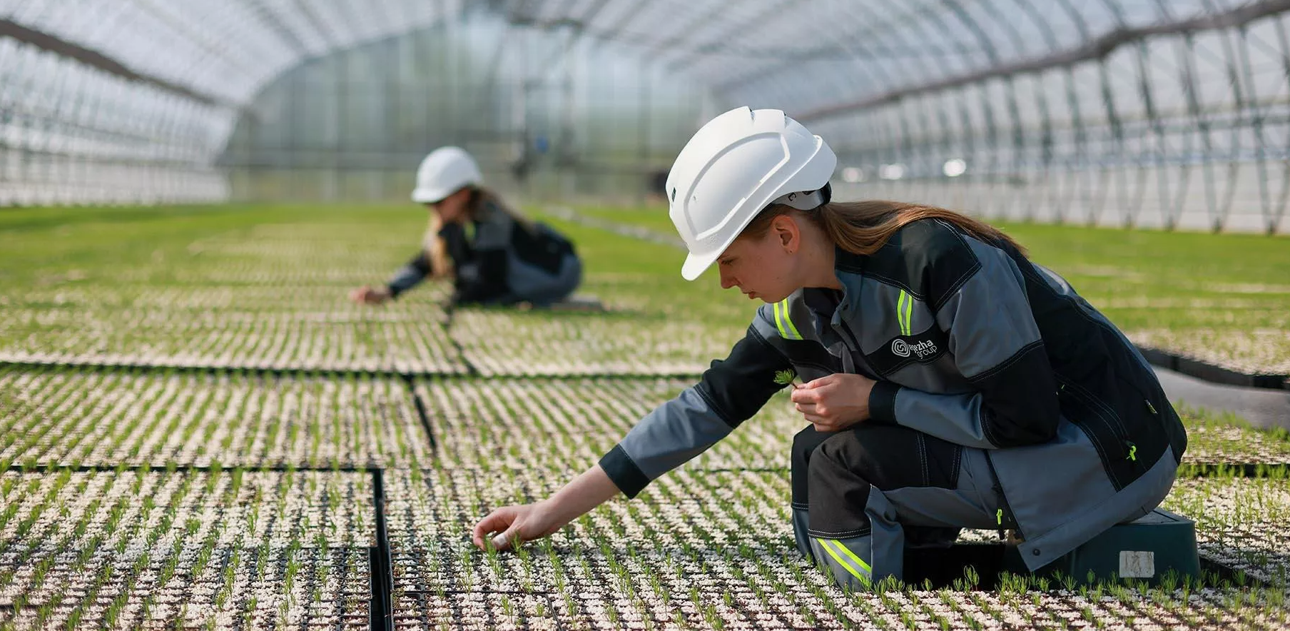 Урожайные технологии: как российский АПК развивает селекцию и генетику