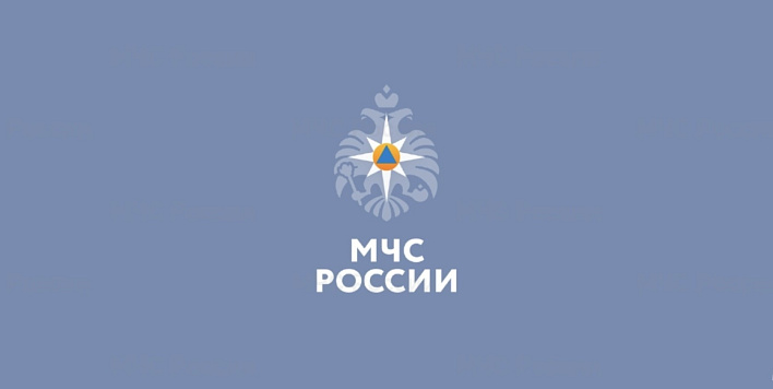 МЧС России активно развивает одноименное приложение-помощник