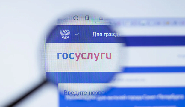 Авторы каналов активно подают сведения через Госуслуги