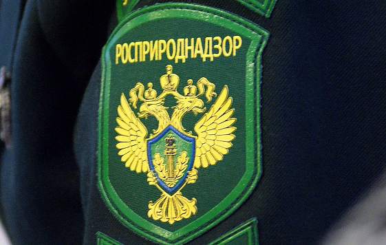 Росприроднадзор перешел на отечественную платформу для коммуникаций