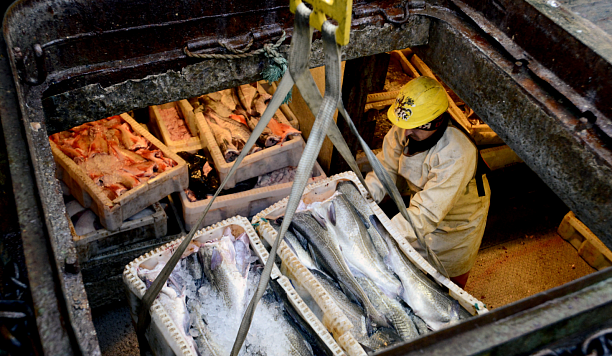 С системой «Меркурий» Россельхознадзора работают больше 80 стран